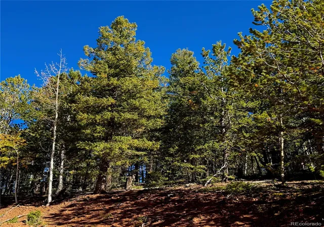 Photo 4 of Land for sale at 624 Witherite Dr, Divide, CO 80814 | MLS# 1936642 | Listing updated on 2026-10-08