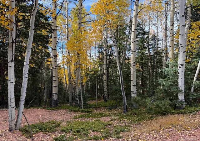 Land for sale at 1341 Calcite Dr, Divide, CO 80814 | MLS# 4602905