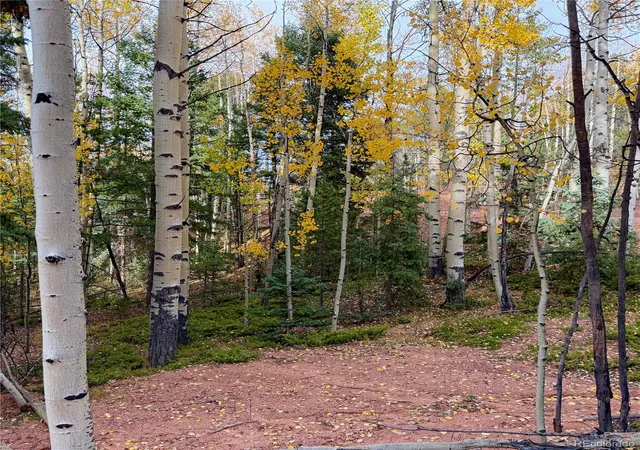 Photo 2 of Land for sale at 1341 Calcite Dr, Divide, CO 80814 | MLS# 4602905 | Listing updated on 2026-10-08