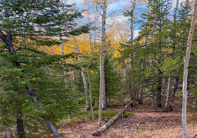 Photo 3 of Land for sale at 1341 Calcite Dr, Divide, CO 80814 | MLS# 4602905 | Listing updated on 2026-10-08