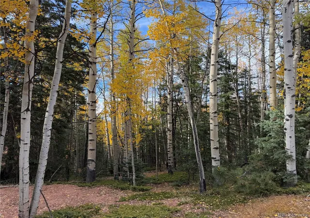 Photo 3 of Land for sale at 1341 Calcite Dr, Divide, CO 80814 | MLS# 4602905 | Listing updated on 2026-10-08