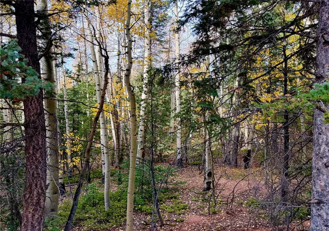 Photo 4 of Land for sale at 1341 Calcite Dr, Divide, CO 80814 | MLS# 4602905 | Listing updated on 2026-10-08