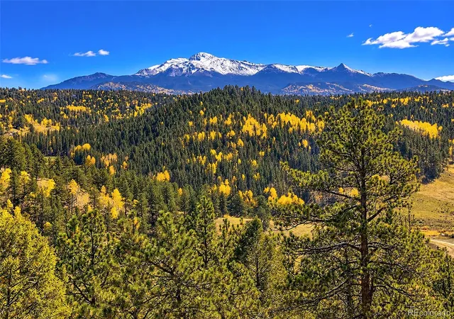 Land for sale at 72 Buffalo Crk Trl, Florissant, CO 80816 | MLS# 3497129
