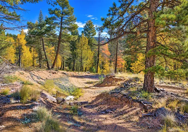 Photo 3 of Land for sale at 72 Buffalo Crk Trl, Florissant, CO 80816 | MLS# 3497129 | Listing updated on 2026-10-16