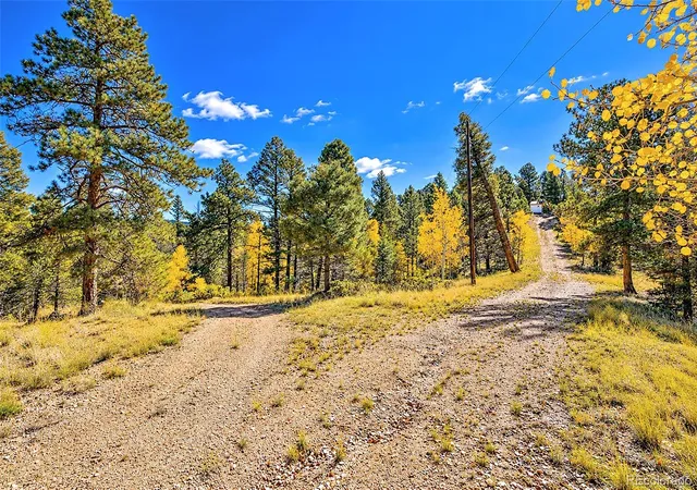 Photo 3 of Land for sale at 72 Buffalo Crk Trl, Florissant, CO 80816 | MLS# 3497129 | Listing updated on 2026-10-16