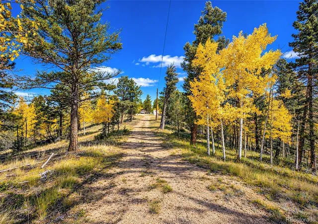 Photo 4 of Land for sale at 72 Buffalo Crk Trl, Florissant, CO 80816 | MLS# 3497129 | Listing updated on 2026-10-16