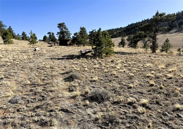 Photo 3 of Land for sale at 0000 Crazy Horse Trl, Hartsel, CO 80449 | MLS# 1643479 | Listing updated on 2026-10-09
