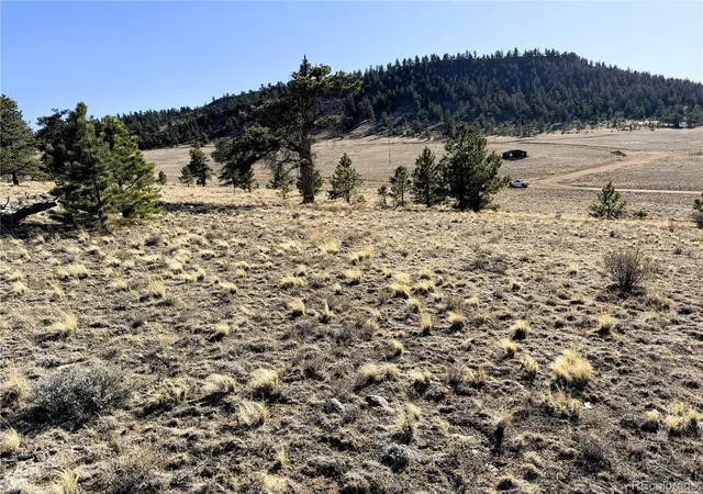 Photo 4 of Land for sale at 0000 Crazy Horse Trl, Hartsel, CO 80449 | MLS# 1643479 | Listing updated on 2026-10-09