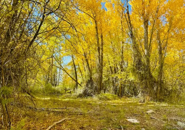 Photo 1 of Land for sale at 123 Indian Hl Rd, Mosca, CO 81146 | MLS# 2498022 | Listing updated on 2026-10-12