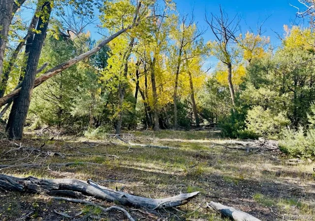 Photo 3 of Land for sale at 123 Indian Hl Rd, Mosca, CO 81146 | MLS# 2498022 | Listing updated on 2026-10-12