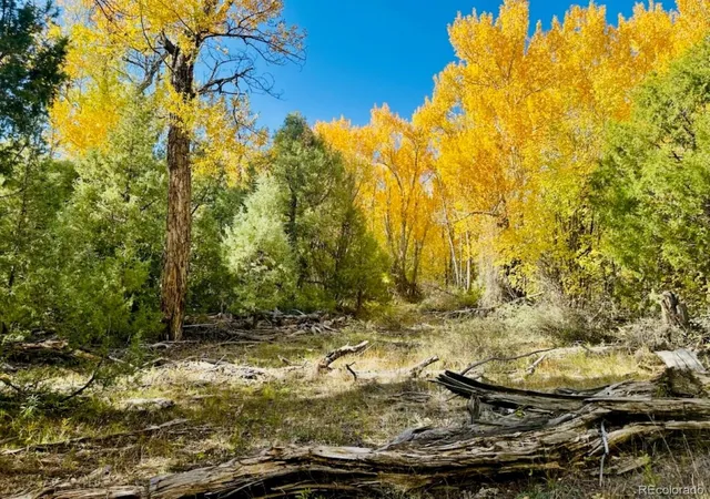 Photo 4 of Land for sale at 123 Indian Hl Rd, Mosca, CO 81146 | MLS# 2498022 | Listing updated on 2026-10-12