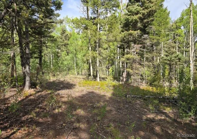Photo 1 of Land for sale at 5878 Loubier Rd, Fort Garland, CO 81133 | MLS# 5797786 | Listing updated on 2026-10-09