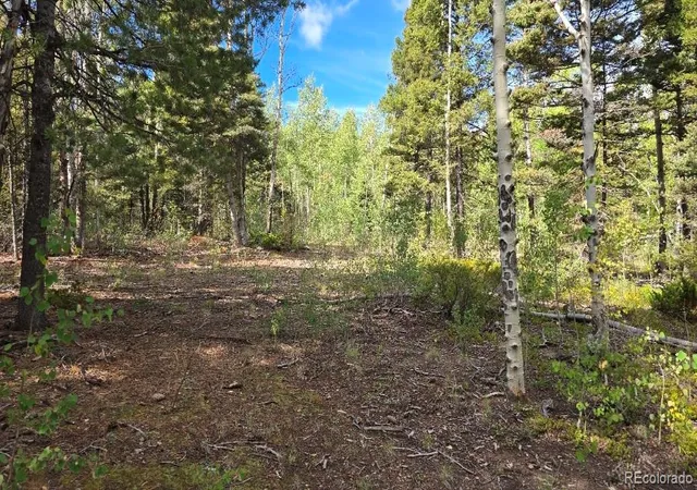 Photo 2 of Land for sale at 5878 Loubier Rd, Fort Garland, CO 81133 | MLS# 5797786 | Listing updated on 2026-10-09