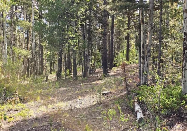 Photo 3 of Land for sale at 5878 Loubier Rd, Fort Garland, CO 81133 | MLS# 5797786 | Listing updated on 2026-10-09