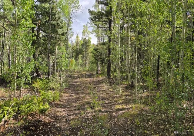 Photo 4 of Land for sale at 5878 Loubier Rd, Fort Garland, CO 81133 | MLS# 5797786 | Listing updated on 2026-10-09