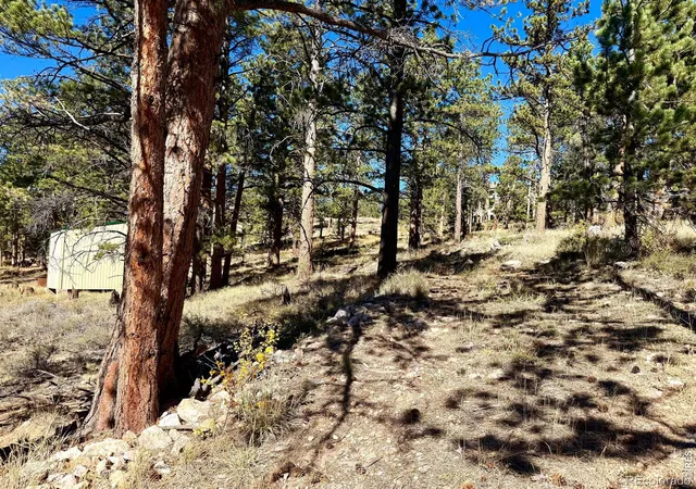 Photo 1 of Land for sale at 24210 W County Rd 74e, Red Feather Lakes, CO 80545 | MLS# IR1070343 | Listing updated on 2026-10-09