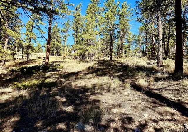 Photo 2 of Land for sale at 24210 W County Rd 74e, Red Feather Lakes, CO 80545 | MLS# IR1070343 | Listing updated on 2026-10-09
