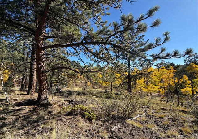 Land for sale at 184 Spruce Dr, Guffey, CO 80820 | MLS# 8854729