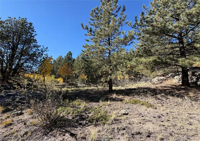 Photo 1 of Land for sale at 184 Spruce Dr, Guffey, CO 80820 | MLS# 8854729 | Listing updated on 2026-10-10