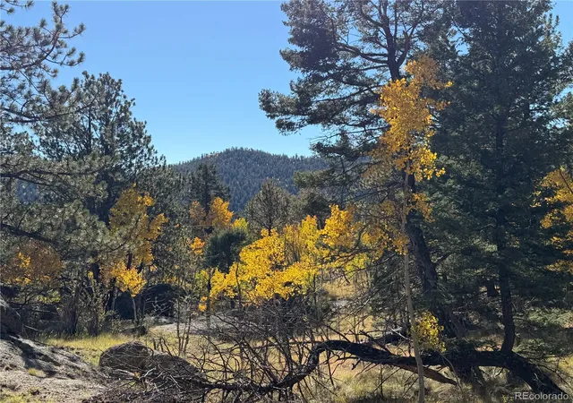 Photo 2 of Land for sale at 184 Spruce Dr, Guffey, CO 80820 | MLS# 8854729 | Listing updated on 2026-10-10