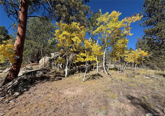 Photo 3 of Land for sale at 184 Spruce Dr, Guffey, CO 80820 | MLS# 8854729 | Listing updated on 2026-10-10