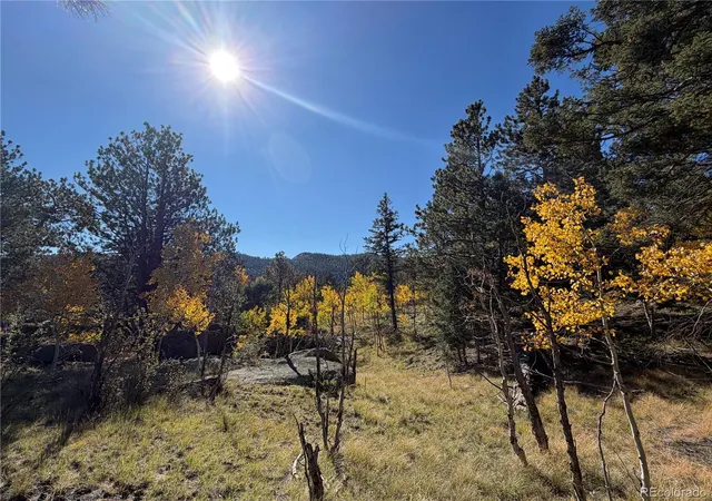 Photo 4 of Land for sale at 184 Spruce Dr, Guffey, CO 80820 | MLS# 8854729 | Listing updated on 2026-10-10