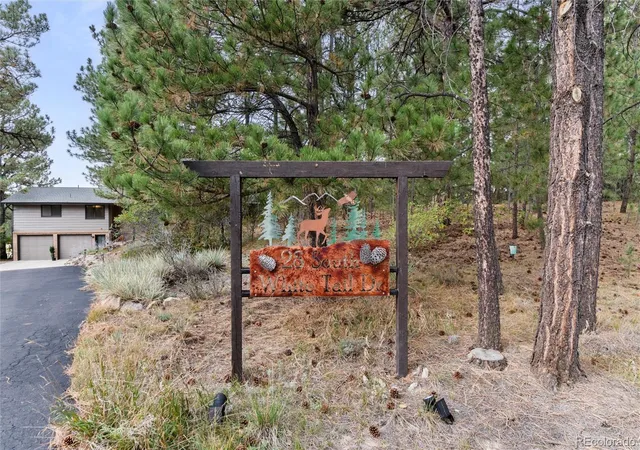 Single family home for sale at 28 S White Tail Dr, Franktown, CO 80116 | MLS# 4728980