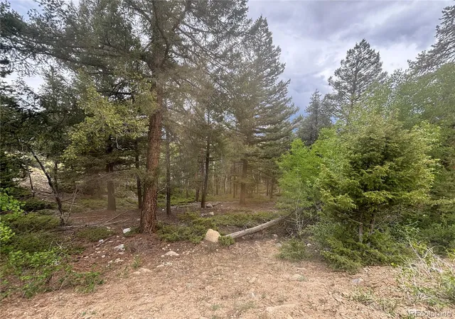 Photo 3 of Land for sale at 30304 Aspen Turn, Buena Vista, CO 81211 | MLS# 2895776 | Listing updated on 2026-10-13