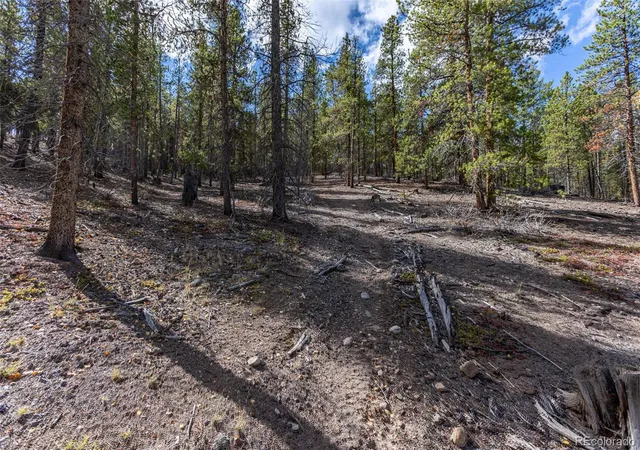 Photo 3 of Land for sale at 86 Mt Elbert Rd, Twin Lakes, CO 81251 | MLS# 9666024 | Listing updated on 2026-10-16