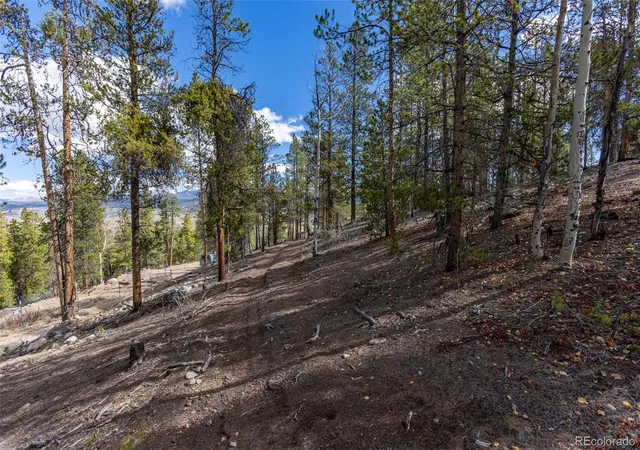 Photo 4 of Land for sale at 86 Mt Elbert Rd, Twin Lakes, CO 81251 | MLS# 9666024 | Listing updated on 2026-10-16