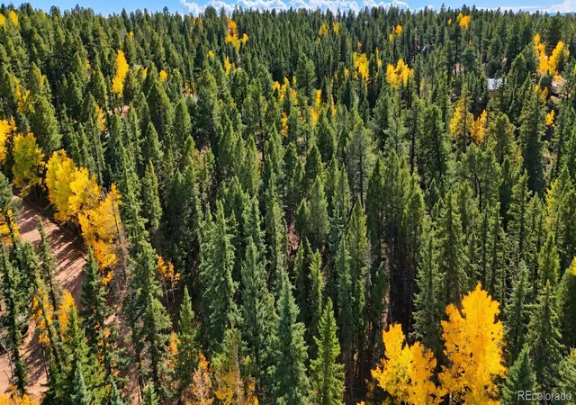 Photo 3 of Land for sale at 11 Nebraska Cir, Florissant, CO 80816 | MLS# 6086761 | Listing updated on 2026-10-13