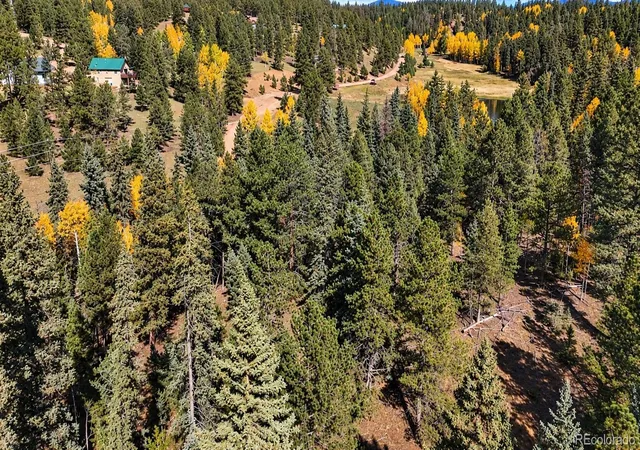 Photo 4 of Land for sale at 54 Spring Valley Ln, Florissant, CO 80816 | MLS# 3336881 | Listing updated on 2026-10-13