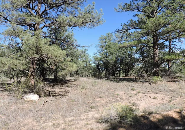 Photo 4 of Land for sale at 823 Harmon Dr, Cotopaxi, CO 81223 | MLS# 7495383 | Listing updated on 2026-10-21