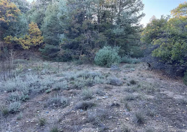 Photo 2 of Land for sale at 378 Lower Camp Rd, Howard, CO 81233 | MLS# 5884293 | Listing updated on 2026-10-19