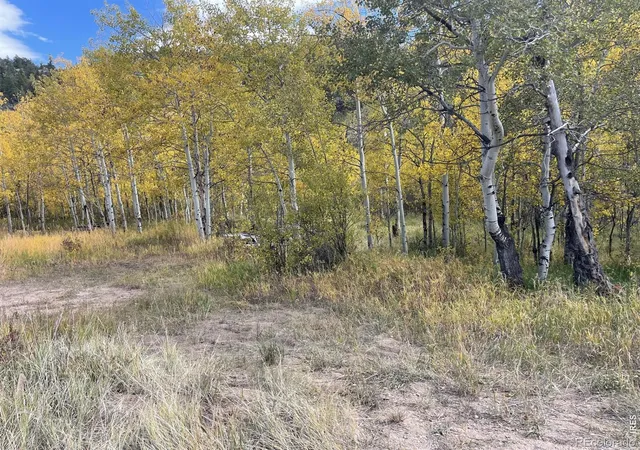 Photo 2 of Land for sale at 53 Ada Ct, Red Feather Lakes, CO 80545 | MLS# IR1070622 | Listing updated on 2026-10-28