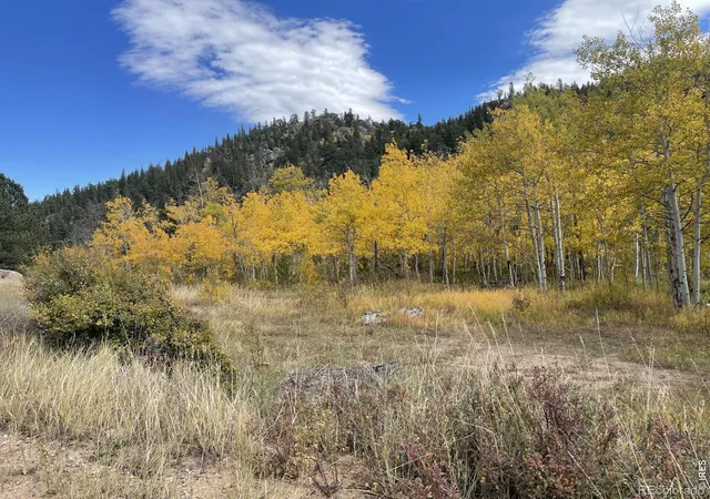 Photo 3 of Land for sale at 53 Ada Ct, Red Feather Lakes, CO 80545 | MLS# IR1070622 | Listing updated on 2026-10-28