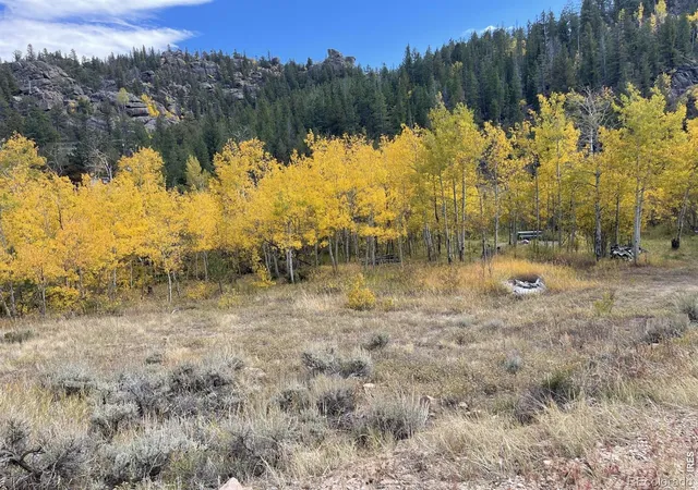 Photo 3 of Land for sale at 53 Ada Ct, Red Feather Lakes, CO 80545 | MLS# IR1070622 | Listing updated on 2026-10-28