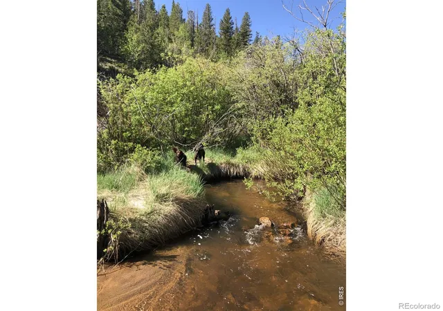 Photo 4 of Land for sale at 53 Ada Ct, Red Feather Lakes, CO 80545 | MLS# IR1070622 | Listing updated on 2026-10-28