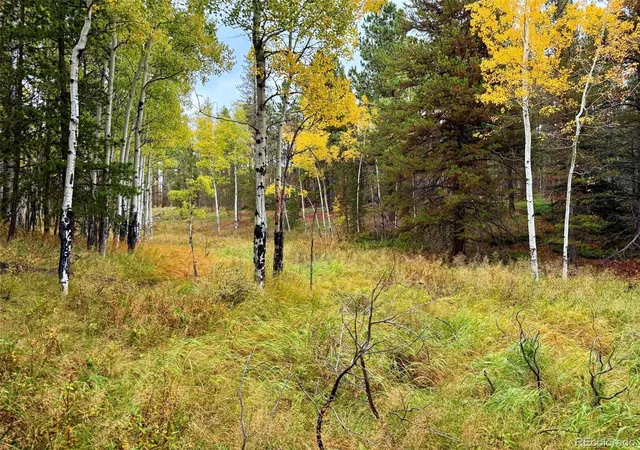 Land for sale at 7x Wallace Ave, Conifer, CO 80433 | MLS# 8774621