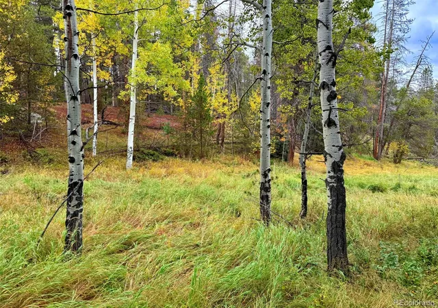 Photo 1 of Land for sale at 7x Wallace Ave, Conifer, CO 80433 | MLS# 8774621 | Listing updated on 2026-10-21