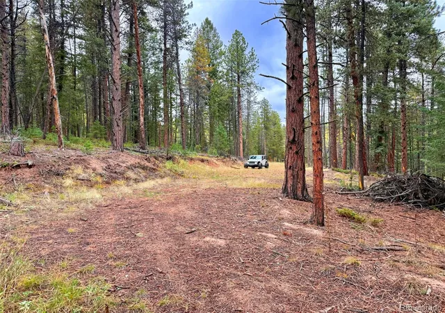 Photo 2 of Land for sale at 7x Wallace Ave, Conifer, CO 80433 | MLS# 8774621 | Listing updated on 2026-10-21