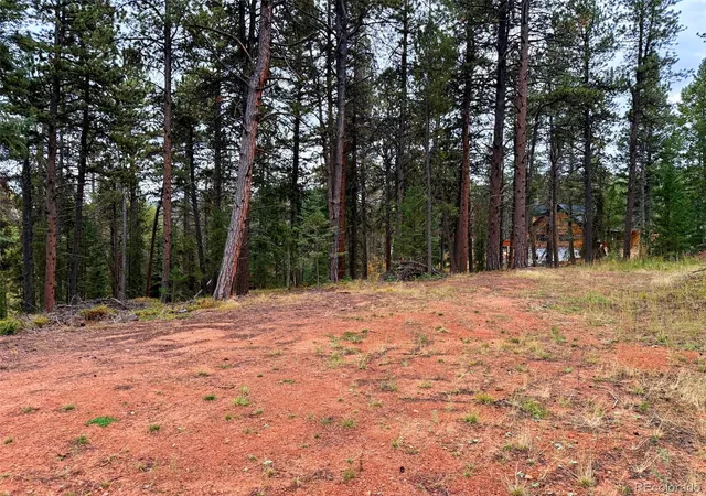 Photo 3 of Land for sale at 7x Wallace Ave, Conifer, CO 80433 | MLS# 8774621 | Listing updated on 2026-10-21