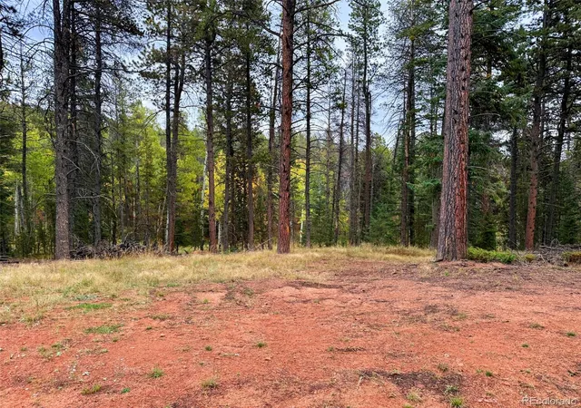 Photo 4 of Land for sale at 7x Wallace Ave, Conifer, CO 80433 | MLS# 8774621 | Listing updated on 2026-10-21