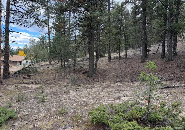 Photo 3 of Land for sale at 0 Toboggan Rd, Pine, CO 80470 | MLS# IR1070666 | Listing updated on 2026-10-15