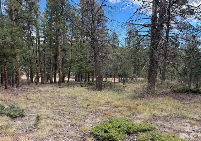 Photo 3 of Land for sale at 0 Toboggan Rd, Pine, CO 80470 | MLS# IR1070666 | Listing updated on 2026-10-15