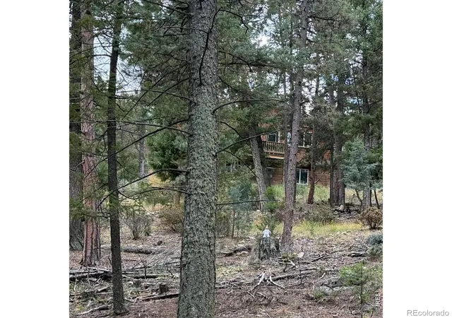 Photo 4 of Land for sale at 0 Toboggan Rd, Pine, CO 80470 | MLS# IR1070666 | Listing updated on 2026-10-15