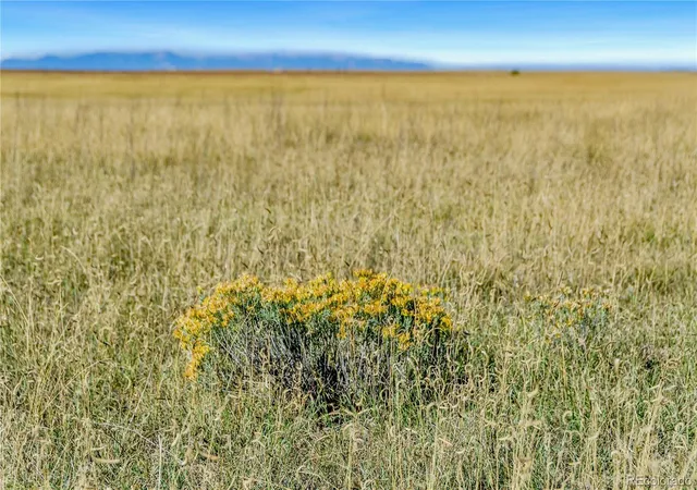 Photo 4 of Land for sale at 35 Acre Vista Ranch Lot 39, Rush, CO 80833 | MLS# 4499786 | Listing updated on 2026-10-19