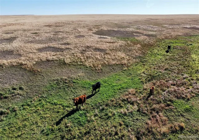 Photo 4 of Land for sale at County Rd 190, Agate, CO 80101 | MLS# 4647304 | Listing updated on 2026-10-16