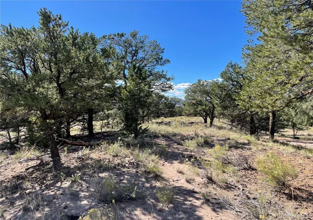 Photo 4 of Land for sale at 732 Rendezvous Way, Crestone, CO 81131 | MLS# 7097263 | Listing updated on 2026-10-16