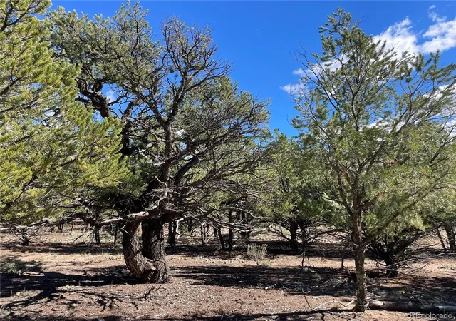 Photo 3 of Land for sale at 178 Moonlight Way, Crestone, CO 81131 | MLS# 1537038 | Listing updated on 2026-10-16